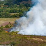 Um grande incidente foi explicado porque cerca de 100 bombeiros lidam com um incêndio rasgando Holt Heath em Bournemouth