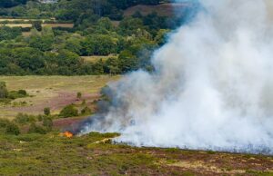 O lar foi evacuado e um incidente maior explicado quando o incêndio se espalha perto de Bournemouth Um grande incidente foi explicado porque cerca de 100 bombeiros lidam com um incêndio rasgando Holt Heath em Bournemouth