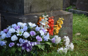 O marido, as costas da mosca vão Vanalie enquanto as pessoas alertam a diferença repentina O marido, as costas da mosca vão Vanalie enquanto as pessoas alertam a diferença repentina