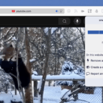 Uma captura de tela das configurações ublock -OpsProng, incluindo os níveis de Fitler, se isso diz respeito à página depois de alterar o Levesl acima mencionado e se o número de solicitações bloqueadas deve aparecer no ícone.