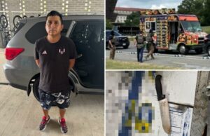 O migrante ilegal ameaçou se machucar com uma faca de açougueiro quando foi detido por oficiais em DC: gelo O migrante ilegal ameaçou se machucar com uma faca de açougueiro quando foi detido por oficiais em DC: gelo