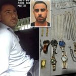 O migrante ilegal chamado 'Taking A Trip Gypsy' preso por roubos de joias preciosos de cross-country depois de Kid, 10, visto mostrando US $ 40 mil Rolex