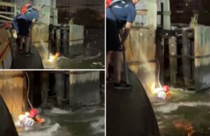 O nadador do FDNY salva uma pessoa adjacente ao fundo da ponte em East River em Dramatic Night Resgate: Video Os resgatadores do FDNY puxaram uma pessoa de combate para fora do East River depois que fortes correntes os prenderam na ponte da ilha de Roosevelt, na quarta -feira, mostra materiais dramáticos.