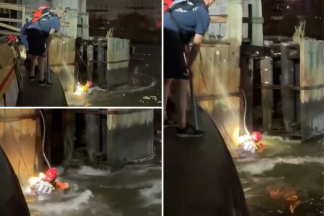 Os resgatadores do FDNY puxaram uma pessoa de combate para fora do East River depois que fortes correntes os prenderam na ponte da ilha de Roosevelt, na quarta -feira, mostra materiais dramáticos.