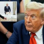 Vladimir Putin e Sergei Lavrov se encontram com o Ministro de Relações Exteriores da Índia.