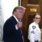 O governo Trump teria solicitado que o Departamento de Defesa criasse planos para uma 'greve letal' contra cartéis no México