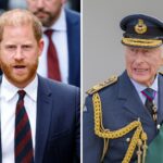O príncipe Harry deve evitar a mais feia 'para reconstruir a confiança do rei Charles