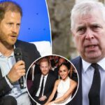 O príncipe Harry nega que eles entrem em uma briga sangrenta com o príncipe Andrew em conexão com comentários sobre Meghan Markle