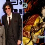 O programa de Howard Sterna pode terminar. Agora é hora de tirá -lo da miséria
