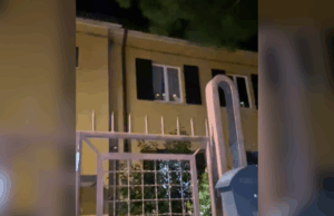 O proprietário de Seven Cats volta para casa à noite e olha a janela-cena inebres O proprietário de Seven Cats volta para casa à noite e olha a janela-cena inebres