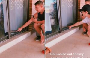 O proprietário volta para casa para encontrá -lo é fechado – então entenda que o cachorro está dentro O proprietário volta para casa para encontrá -lo é fechado - então entenda que o cachorro está dentro