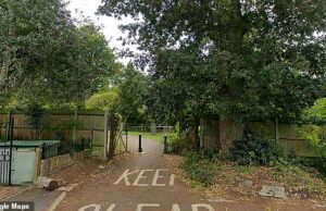 O quarto suspeito é libertado sob fiança depois que uma adolescente foi ‘drogada’ e estuprada no London Park. A polícia foi chamada pouco antes das 7h15 da manhã de quinta-feira para o FishPonds Park (foto) em Surbiton, sudoeste de Londres
