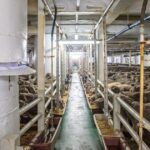 O que é a transição da indústria e quem se beneficiará do patrocínio do governo?