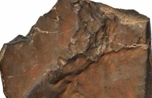 O que é o Furious Todo o país sobre esta rocha de US $ 8 milhões a partir de terça -feira Grande Marte em uma rocha no início do preto e foi vendido por US $ 8 milhões em julho de 2025