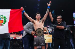 O que você sabe sobre o peso pesado do PFL e penas O que você sabe sobre o peso pesado do PFL e penas