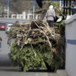 O timelepse mostra o concreto substituir o vegetal na cidade mais popular da África