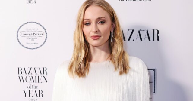 O vestido original de pele de cobra usado por Sophie Turner está esgotado, mas esse parecido de US $ 30 ainda tem muito estoque.



