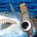 0818-JAWS-EYES-SUB