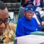 Omoyele Sowore chama Tinubu de criminoso, encontra reação, veja informações