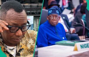 Omoyele Sowore chama Tinubu de criminoso, encontra reação, veja informações Omoyele Sowore chama Tinubu de criminoso, encontra reação, veja informações