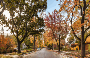 Os custos ocultos de viver no meio do composto de US $ 110 milhões de Mark Zuckerberg Os custos ocultos de viver no meio do composto de US $ 110 milhões de Mark Zuckerberg