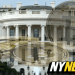 Os democratas desesperados finalmente incluem criptografia e apoiam as contas de Trump para recuperar os eleitores
