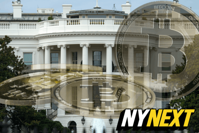 Os democratas desesperados finalmente incluem criptografia e apoiam as contas de Trump para recuperar os eleitores

