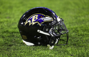 Os filhotes pretendidos para fazer movimentos de choque com a primeira escolha da segunda vez Os filhotes pretendidos para fazer movimentos de choque com a primeira escolha da segunda vez