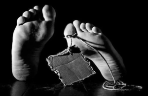 Os funcionários caçam soldados soldados no caso de Montana Os funcionários caçam soldados soldados no caso de Montana