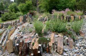 Os tesouros dos tildens Os tesouros dos tildens