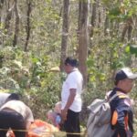 Os trabalhadores do salão mortos na floresta Teca de Ponorogo, supostos autores, foram segurados pela polícia