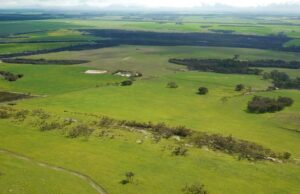Ótima combinação de pastagens e colinas prontas para colheitas e ovelhas Ótima combinação de pastagens e colinas prontas para colheitas e ovelhas