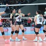 PVL NXLED TUR