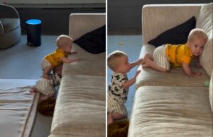 Papai verifica as crianças na sala de estar, não preparado para o que você vê Papai verifica as crianças na sala de estar, não preparado para o que você vê