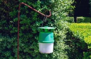 Pendure na caixa em agosto, e uma mariposa de boxwood vai parar de comer arbustos. Este é um truque simples e extremamente eficaz Pendure na caixa em agosto, e uma mariposa de boxwood vai parar de comer arbustos. Este é um truque simples e extremamente eficaz