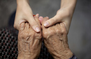 Pesquisadores Pesquisadores