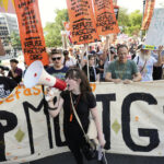 Plano Trump de Feder Trump, federal de protesto residente em DC