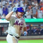 Por que o momento de recorde de Pete Alonso significa muito para meta