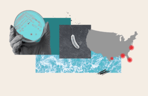 Porque as infecções fatais “e batidas” da carne “estão em crescimento Porque as infecções fatais "e batidas" da carne "estão em crescimento