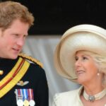 Príncipe Harry e Stepmom Camilla: altos e baixos