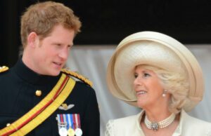 Príncipe Harry e Stepmom Camilla: altos e baixos Príncipe Harry e Stepmom Camilla: altos e baixos