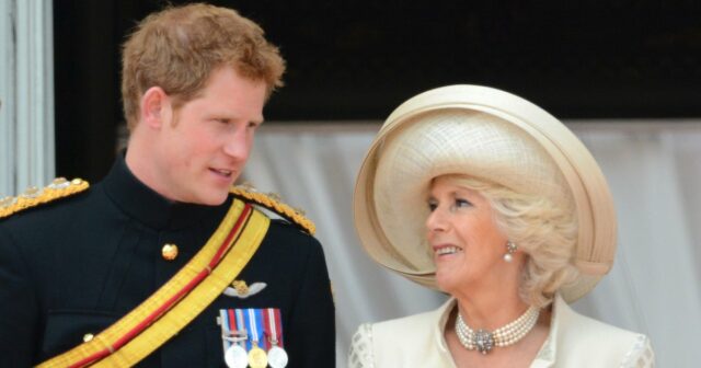 Príncipe Harry e Stepmom Camilla: altos e baixos



