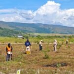 Promover segurança alimentar, Tanah Tanah Tanden Moradores usam 4 hectares de terra em HPL