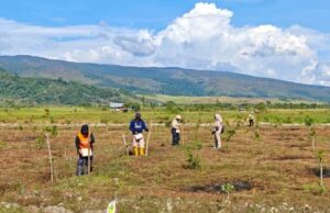 Promover segurança alimentar, Tanah Tanah Tanden Moradores usam 4 hectares de terra em HPL Promover segurança alimentar, Tanah Tanah Tanden Moradores usam 4 hectares de terra em HPL