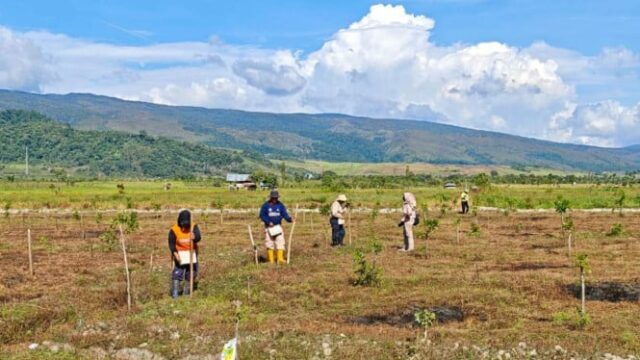Promover segurança alimentar, Tanah Tanah Tanden Moradores usam 4 hectares de terra em HPL

