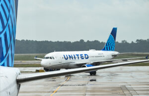 Proteção não solicitada de corujas assonadas: que sabemos Proteção não solicitada de corujas assonadas: que sabemos