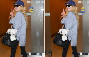 Qual é a diferença de um grande fragin?! Qual é a diferença de um grande fragin?!