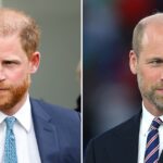 O príncipe Harry comenta o rei Charles Cancer provavelmente piorou a disputa