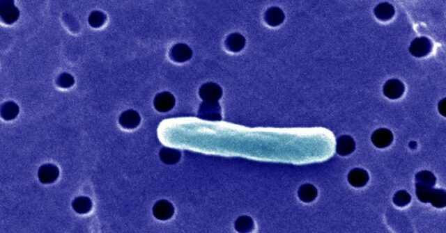Vinte e um pacientes na Flórida ficam doentes - alguns com E. coli - depois de consumir leite cru, de acordo com o aviso do Departamento de Saúde da Flórida.