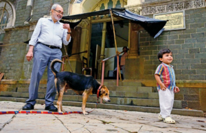 Relatório minoritário: óbvio, herói da comunidade e parceiro Relatório minoritário: óbvio, herói da comunidade e parceiro